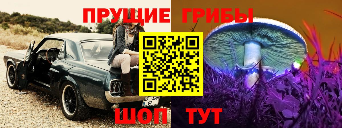 Галлюциногенные грибы GOLDEN TEACHER  Вход с VPN  Котельники 